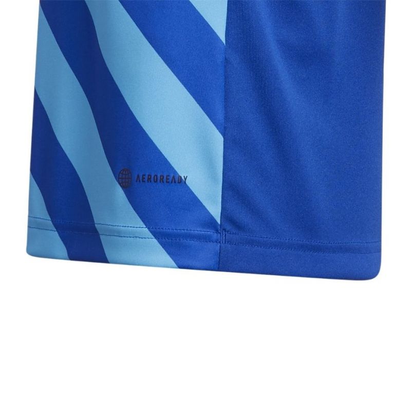 T-shirt adidas Entrada 22 Graphic Jersey Jr HF0130 Clothing/Training Adidas