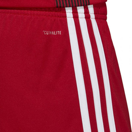 Adidas Tastigo 19 Shorts M DP3681 shorts Clothing/Football Adidas