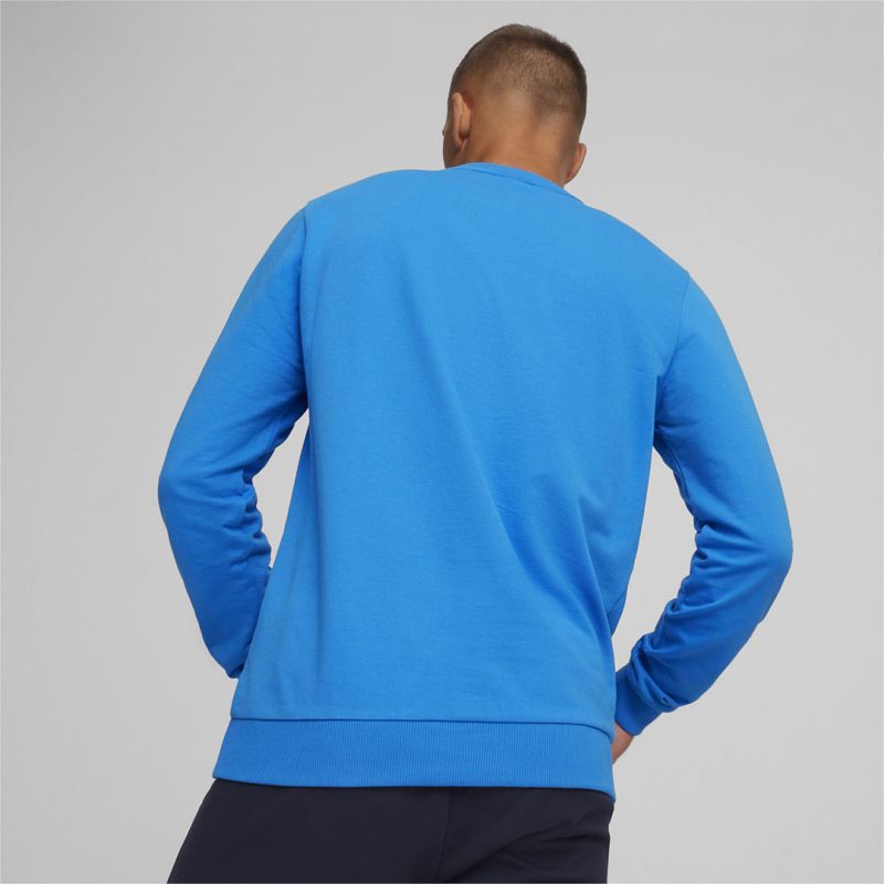 Puma Team Goal Casuals Crew Neck Sweat M 658592 02 Clothing/Training Puma