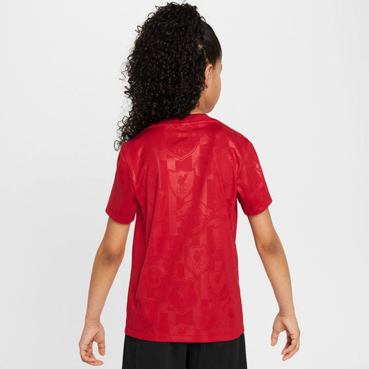 Nike Liverpool FC Academy Pro SS Top Jr FQ0013-688 Clothing/Football Nike