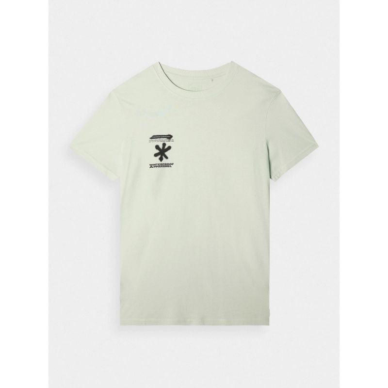 Men's regular printed T-shirt 4F 4FRAW24TTSHM2603-47S 4f