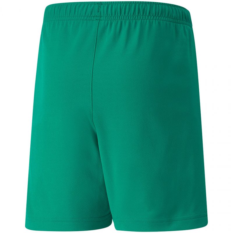 Puma teamRISE Short Jr 704943 05 Clothing/Football Puma