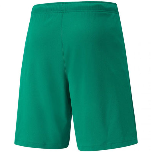 Puma teamRISE Short M 704942 05 Clothing/Football Puma