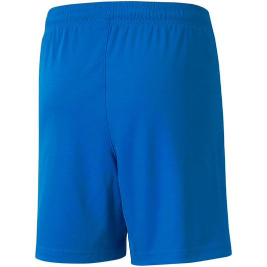 Puma teamLIGA Shorts Jr 704931 02 Clothing/Training Your Sports Performance