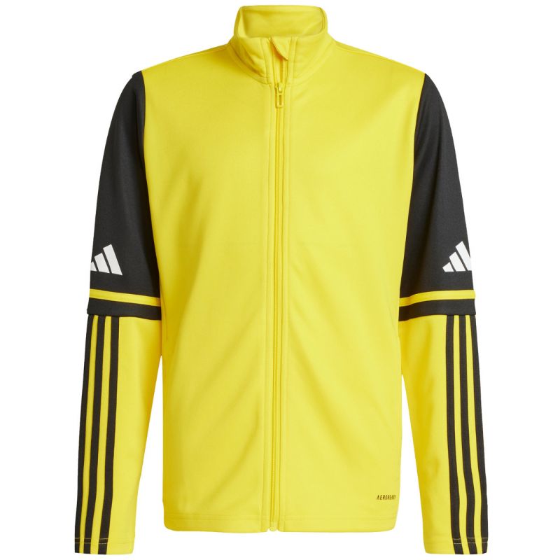 Adidas Squadra 25 Training M JP3388 sweatshirt Clothing/Football Adidas