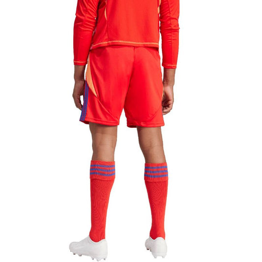 Adidas Tiro 24 M IT2416 shorts Clothing/Football Adidas