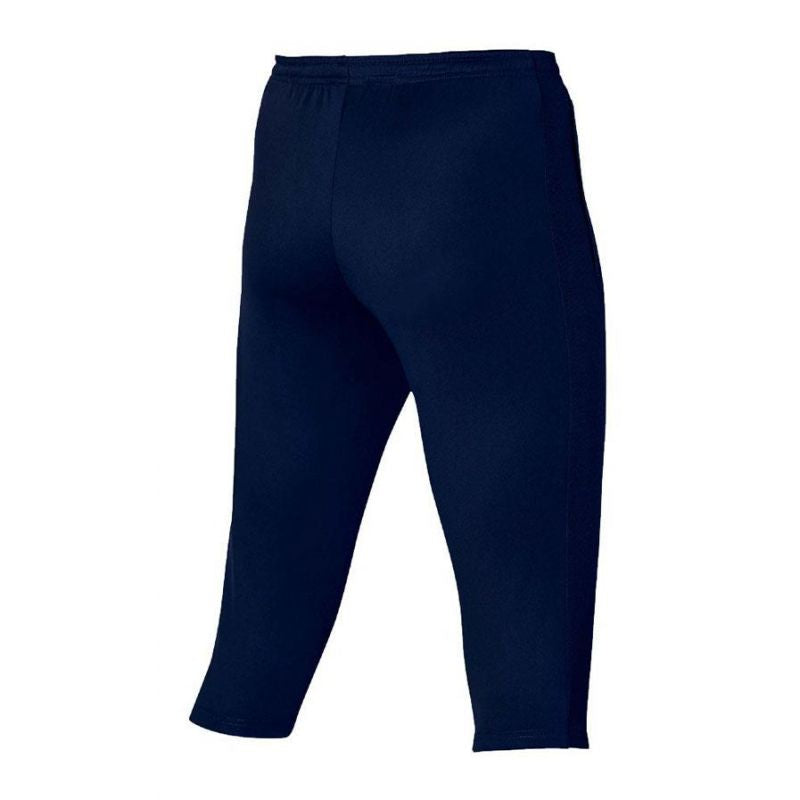 Shorts Nike Dri-FIT Academy M DR1365-451 Clothing/Training Nike