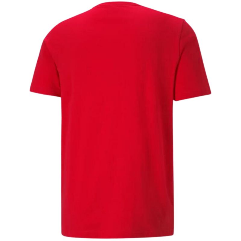Puma ESS Small Logo Tee M 586668 47 Clothing/Lifestyle/T-shirts Puma