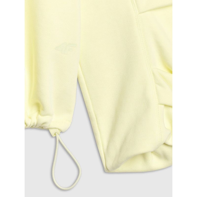 Women's sweatshirt with hood, open, 4F 4FRAW25TSWSF2462-73S *Kategoria tymczasowa Your Sports Performance