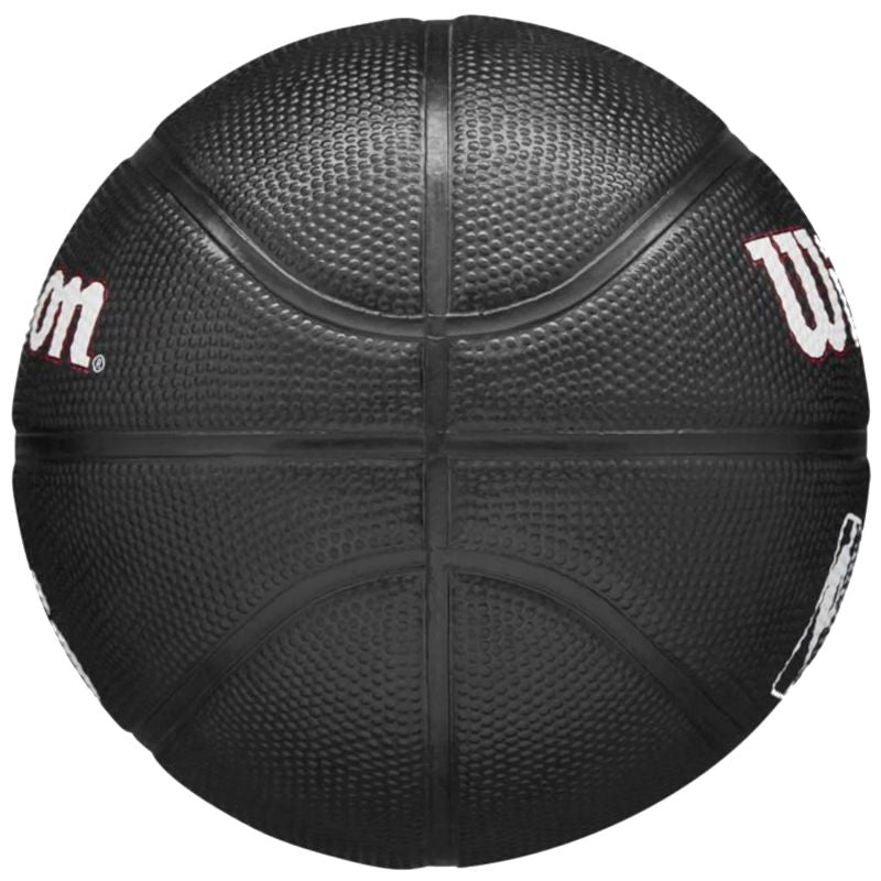 Wilson Team Tribute Philadelphia 76ers Mini Ball WZ4017611XB basketball Accessories/Balls/Basketball Your Sports Performance