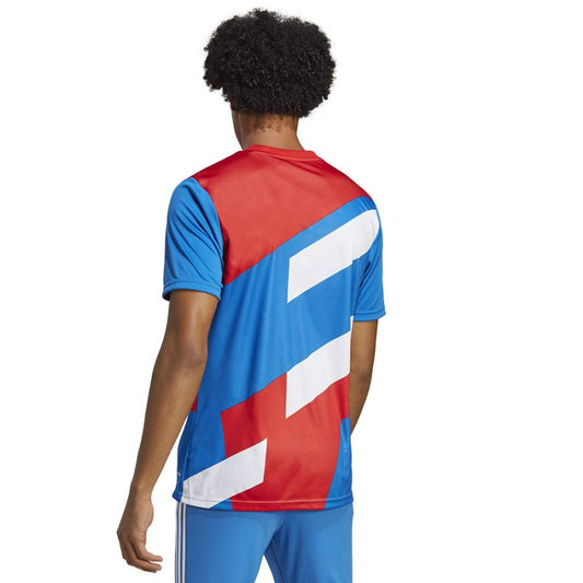 T-shirt adidas FC Bayern Pre-Match JSY M HU1261 Clothing/Football Adidas