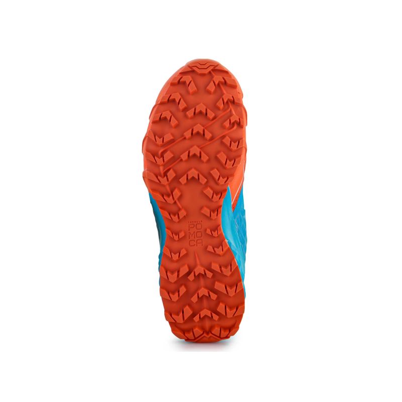 Dynafit Feline Sl W 64054-4648 running shoes Footwear/Running/Women/Dynafit Your Sports Performance