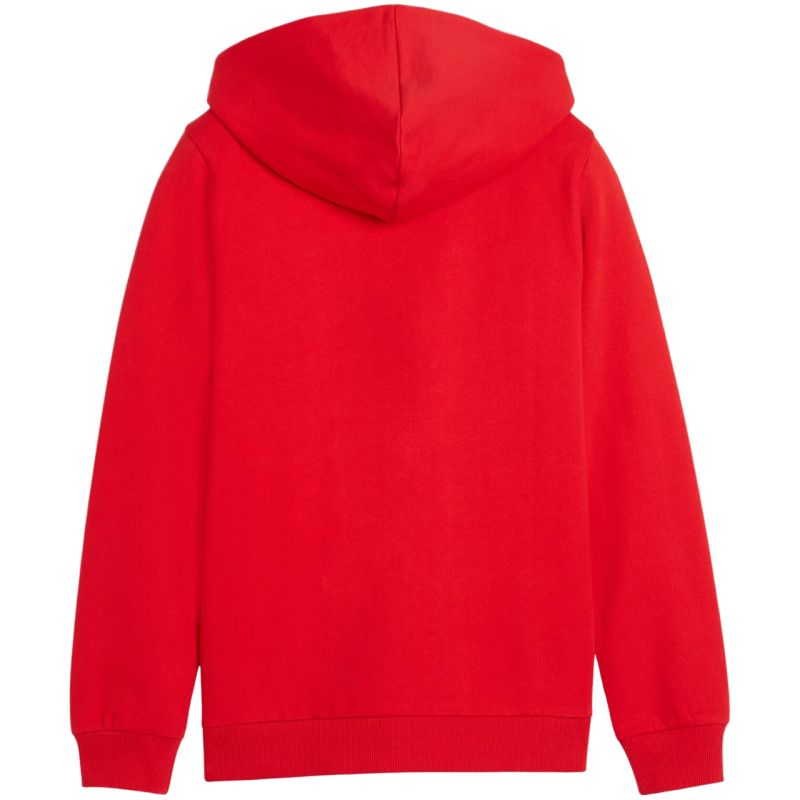 Puma teamGoal Casuals Hooded kids' sweatshirt red 658596 01 In preparation Your Sports Performance