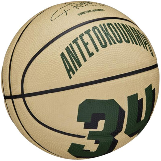 Basketball ball Wilson NBA Player Icon Giannis Antetokounmpo Mini Ball WZ4007501XB Accessories/Balls/Basketball Your Sports Performance