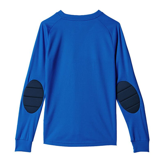 Adidas Assita 17 Jr AZ5404 sweatshirt Clothing/Football Adidas