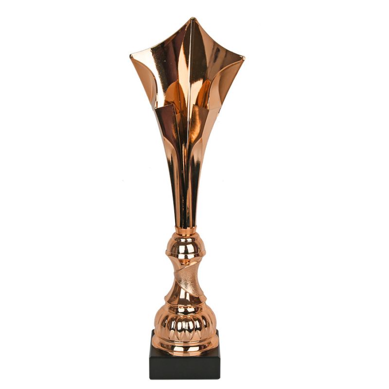 Triumph Cup W2206/B In preparation Your Sports Performance