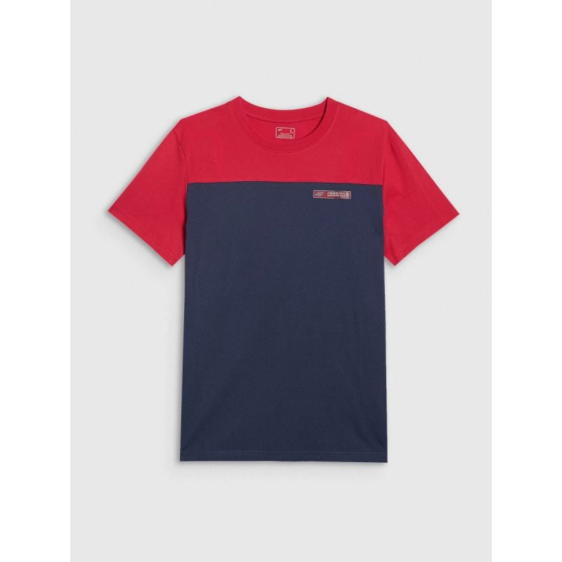 Men's regular printed T-shirt 4F 4FRAW25TTSHM3292-31S 4f