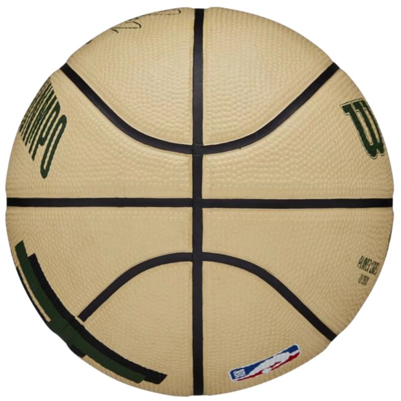 Basketball ball Wilson NBA Player Icon Giannis Antetokounmpo Mini Ball WZ4007501XB Accessories/Balls/Basketball Your Sports Performance
