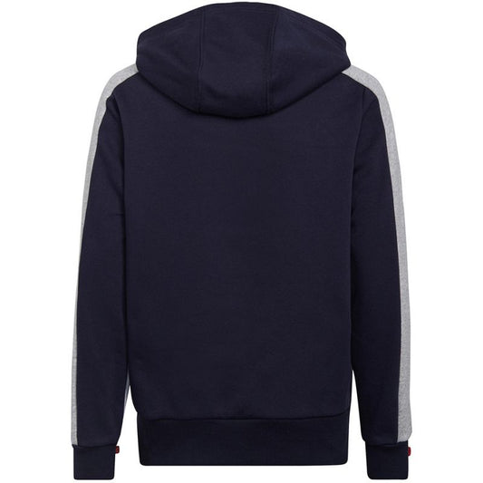 Adidas Colorblock Fleece Jr HC5659 sweatshirt Clothing/Lifestyle Adidas