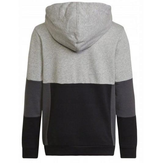 Adidas Colourblock Hoodie Jr HN8563 sweatshirt