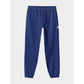 Sweatpants 4F M 4FWAW24TTROM1277-31S