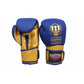 Masters Boxing Gloves RPU-COLOR/GOLD 10 oz 01439-0210