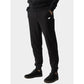 Sweatpants 4F M 4FWAW24TTROM1265-20S