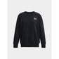 Under Armor W sweatshirt 1379475-001