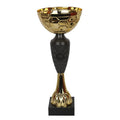 Triumph Cup 1854 In preparation Your Sports Performance