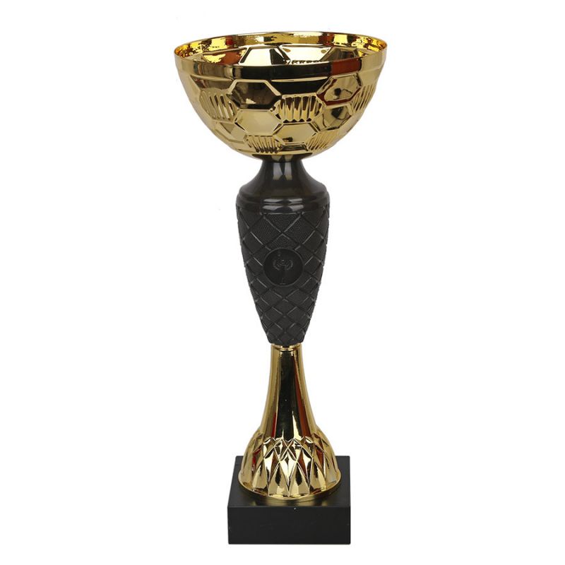 Triumph Cup 1854 In preparation Your Sports Performance