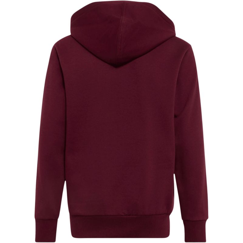 adidas Essentials Hoodie for kids, burgundy KT3380
