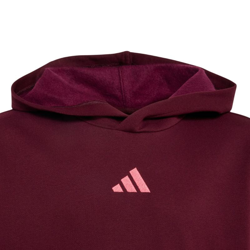 adidas Essentials Hoodie for kids, burgundy KT3380