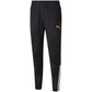 Puma teamLIGA Training Pants M 657242 45 Clothing/Training Puma