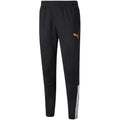 Puma teamLIGA Training Pants M 657242 45 Clothing/Training Puma