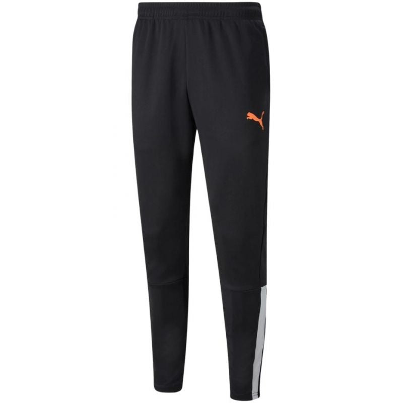 Puma teamLIGA Training Pants M 657242 45 Clothing/Training Puma