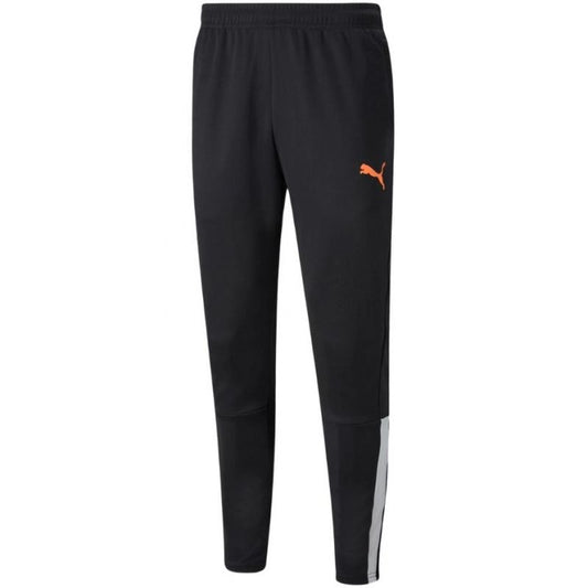 Puma teamLIGA Training Pants M 657242 45 Clothing/Training Puma