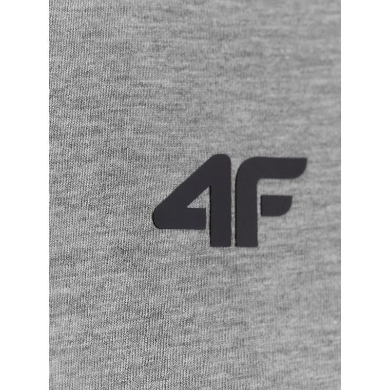 Men's regular plain T-shirt 4F 4FRMM00TTSHM4192-27M