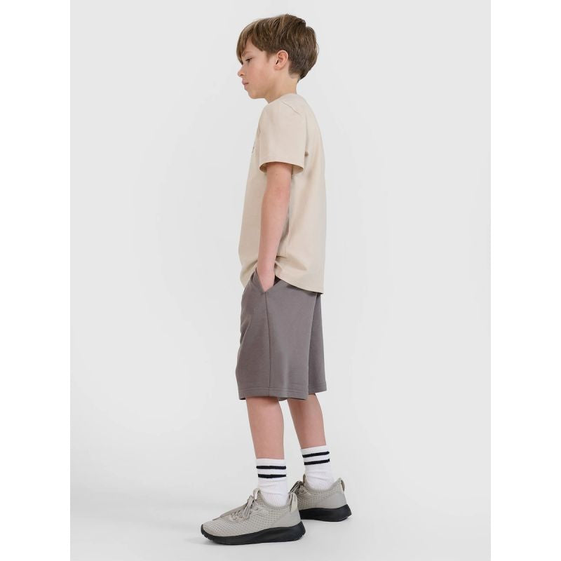 Boys' sweatpants 4F 4FJRSS25TSHOM684-23S 4f
