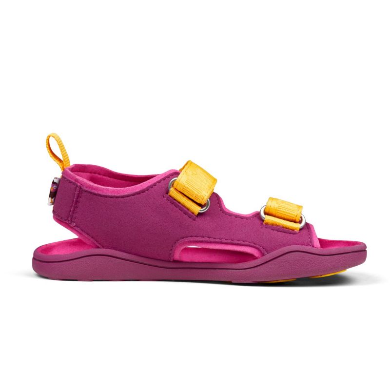 Affenzahn Sandal Chamude Airy Bird Jr 00392-40010 Sandals Affenzahn