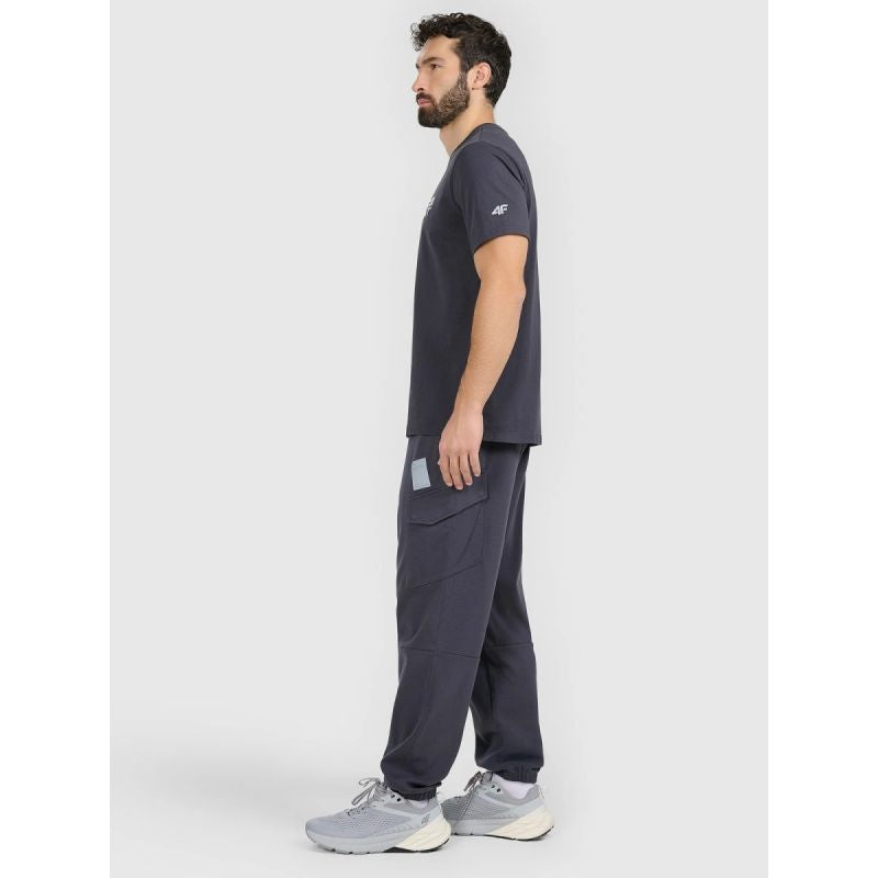 Men's jogger sweatpants 4F 4FRAW25TTROM1694-22S 4f