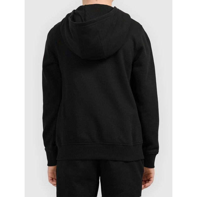 Boy's zip-up hoodie 4F 4FJWMM00TSWSM2754-20S