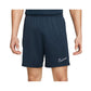 Shorts Nike Dri-FIT Academy M DR1360-451 Clothing/Football Nike