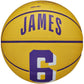 Ball Wilson NBA Player Icon Stephen Curry Mini Ball WZ4007401XB Accessories/Balls/Basketball Your Sports Performance