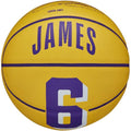 Ball Wilson NBA Player Icon Stephen Curry Mini Ball WZ4007401XB Accessories/Balls/Basketball Your Sports Performance