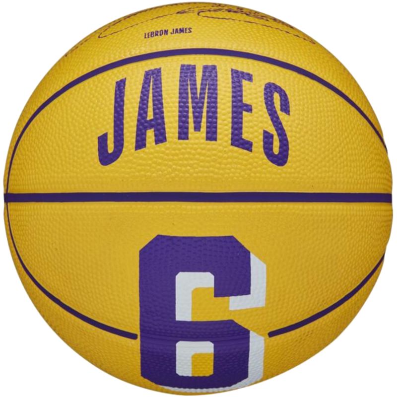 Ball Wilson NBA Player Icon Stephen Curry Mini Ball WZ4007401XB Accessories/Balls/Basketball Your Sports Performance