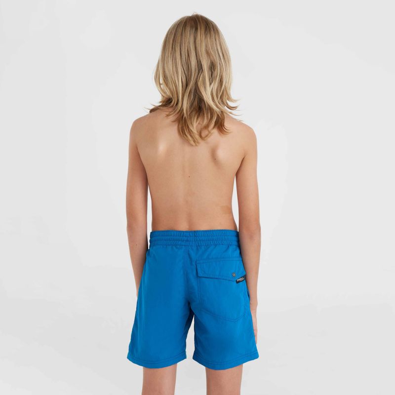 O'Neill Vert 14" Swim Shorts Jr 92800614215 Clothing/Swimming/ONeill Your Sports Performance