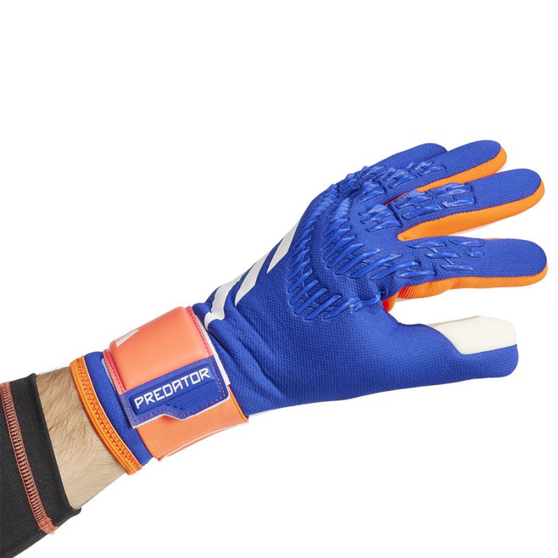 Adidas Predator GL TRN IX3860 goalkeeper gloves Accessories/Gloves Adidas