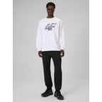 Men's sweatshirt without zipper and hood 4F 4FRAW25TSWSM2493-10S 4f