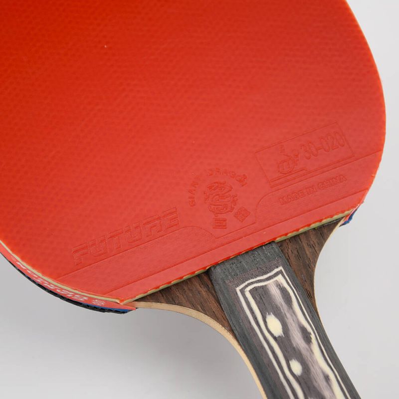 Giant Dragon 9★ N8091 Table Tennis Racket Accessories/Rackets and accessories Your Sports Performance