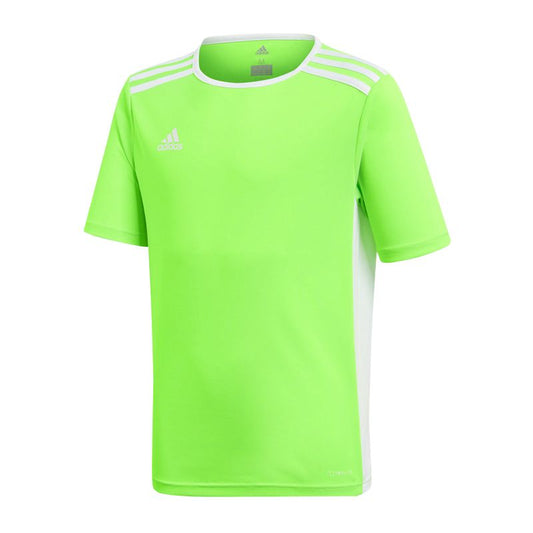 adidas Entrada 18 Jr T-shirt CE9755 adidas